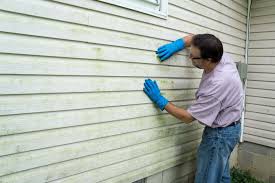 Affordable Siding Repair and Maintenance Services in Petal, MS